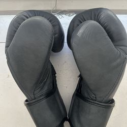 Hayabusa T3 LX boxing gloves