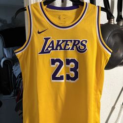Youth LeBron James Jersey