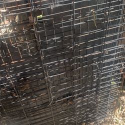 Dog Kennel Xl