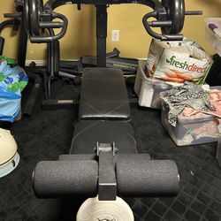 Champs Sports Workout Weight Bench