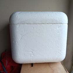 Set Of 3 Styrofoam Coolers 