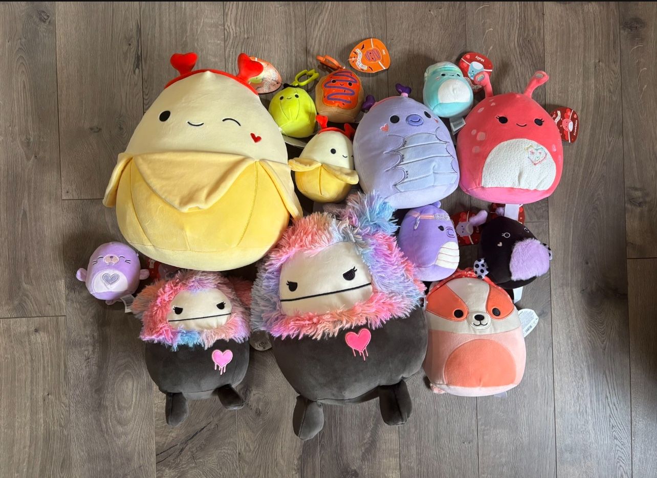 Lot of 13 Squishmallow, Various sizes