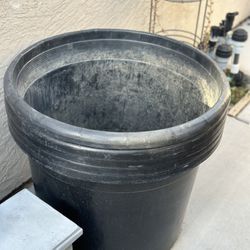 Large 30 Gallon Plant Garden Pot $20 Each