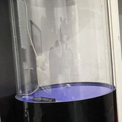 Fish Tank