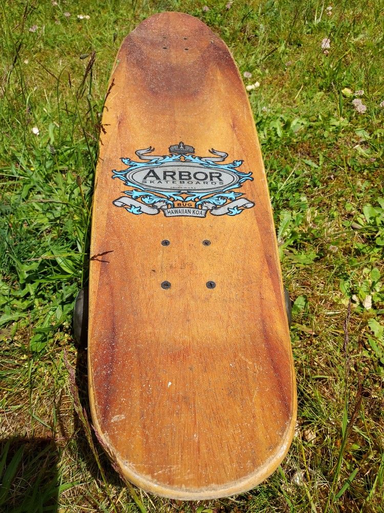 Arbor Bug Longboard Skateboard 