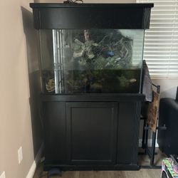 55 Gallon Fish Tank 