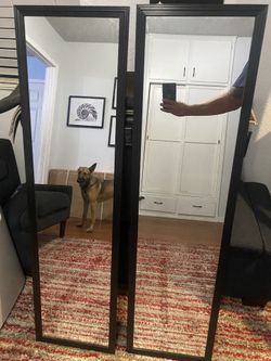 Qt 2 Mirrors $10 Each