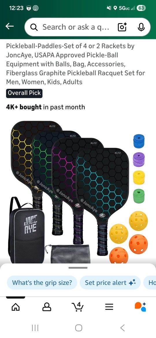 Pickleball Set