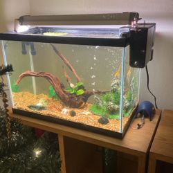20 Gal Fish Tank 