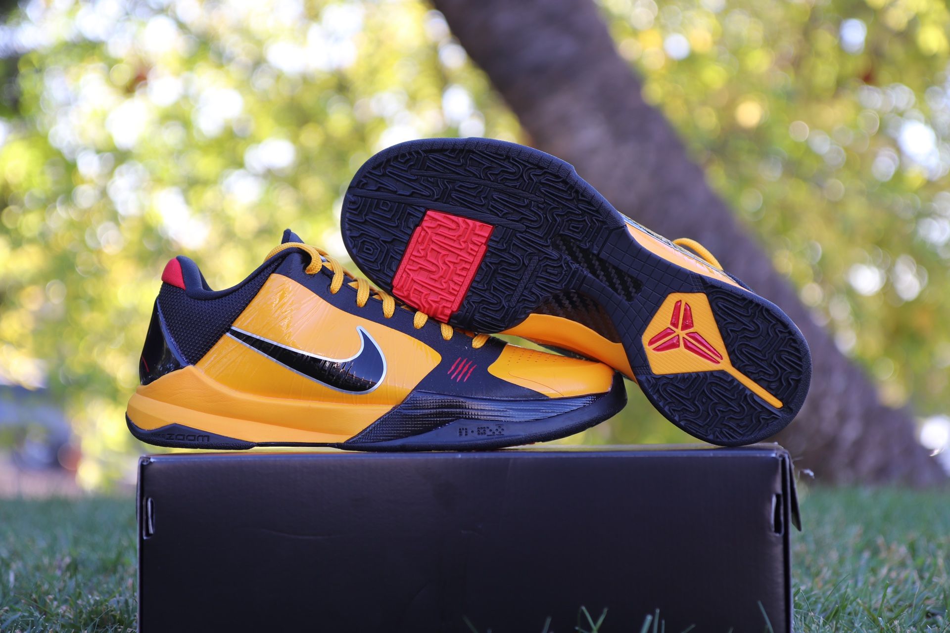 Kobe 5 Proto ‘Bruce Lee’ Size 7