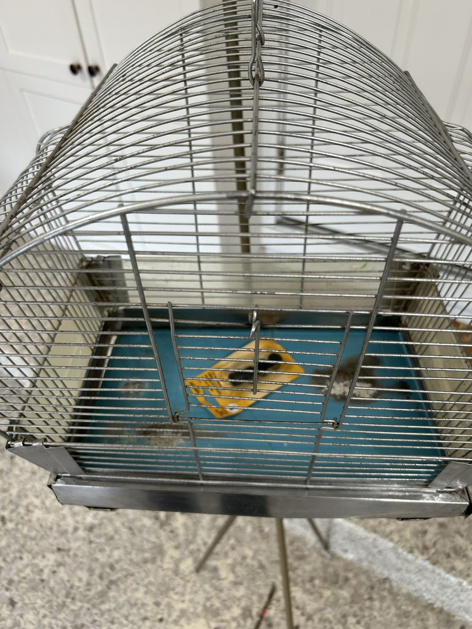 Vintage Bird Cage On Stand