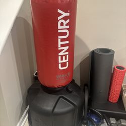 Punching Bag