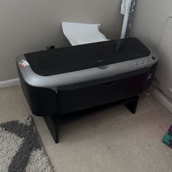 Epson Stylus Photo 2200 - Photo Printer