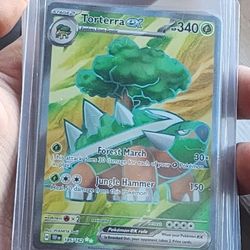 Torterra Ex