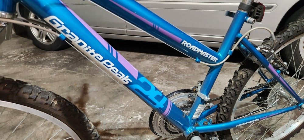 2 Bikes 