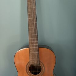 Acoustic guitar