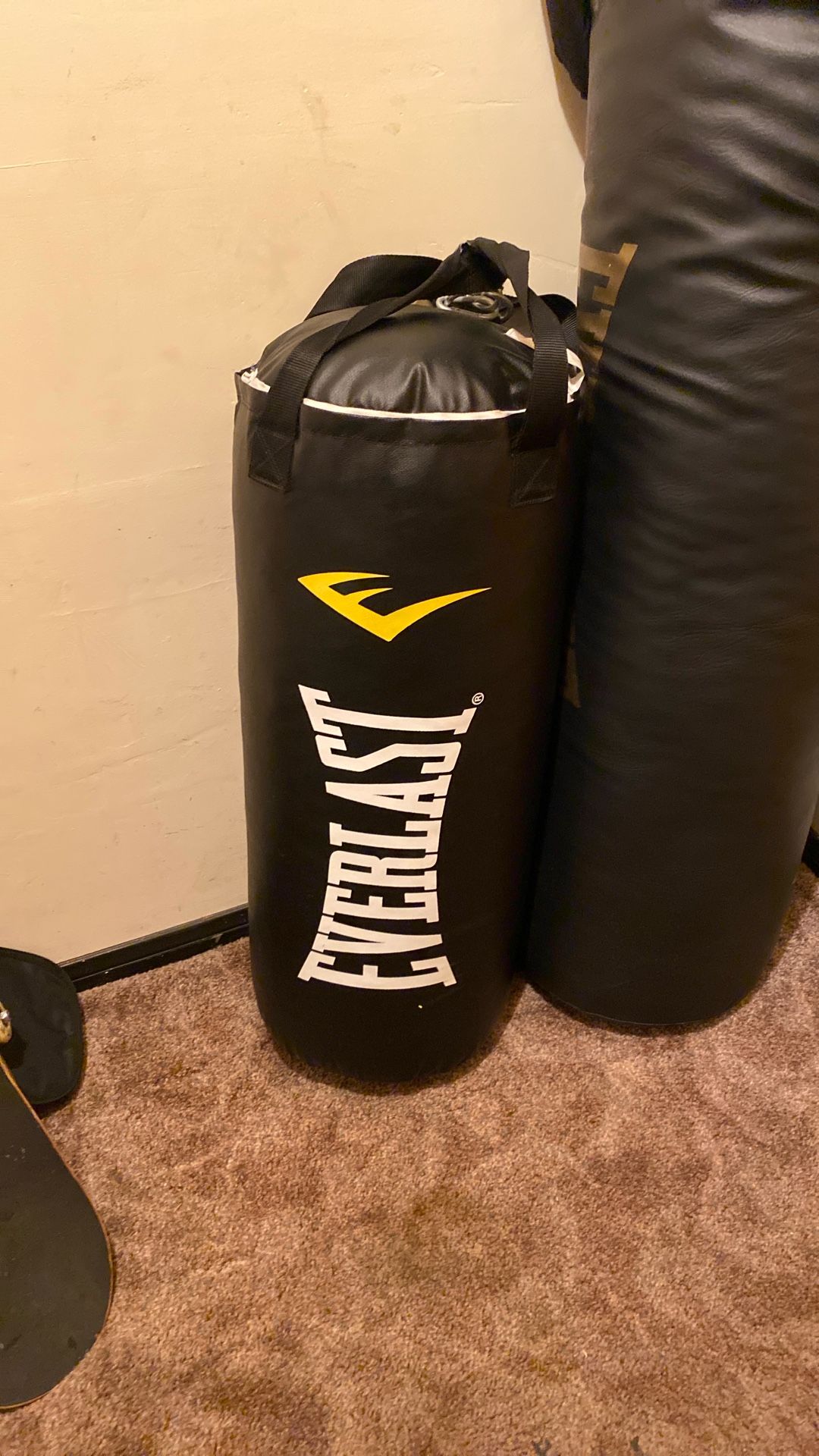 Everlast Punching Bag