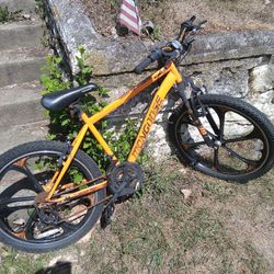 Mongoose Mountain Bike Normal Wear And Tear