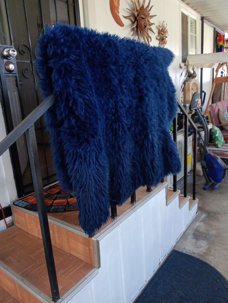 Blue Shag Rug