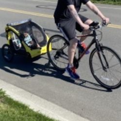 Schwinn Bike Trailer 
