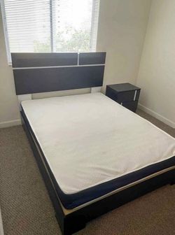 CAMA Queen