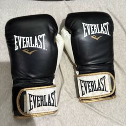 Everlast Power Lock Gloves