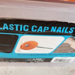 Plastic Cap Nails
