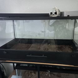 Reptile Enclosures