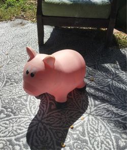 Bouncy pig