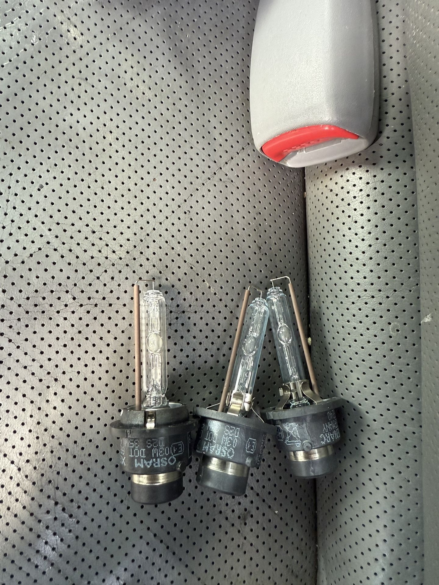 Acura TL Hid Bulbs