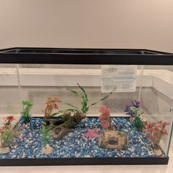 Fish Tank / Aquarium with Complete Set Up