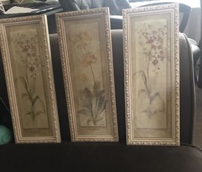 Flower frames