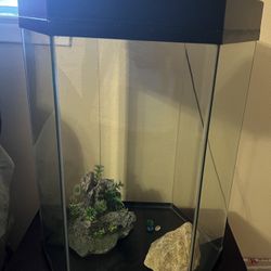 Fish tank 20gal