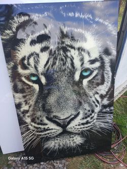 Large picture so beautiful