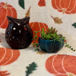 Tea Light Holder  & Faux Pumpkin Succulent Arrangement 