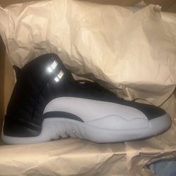 Jordan 12 Size 10.5