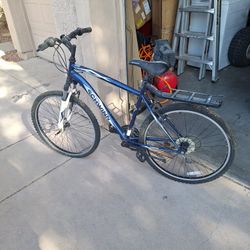Schwinn 10 Speed