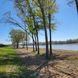 Underbrush Land Clearing