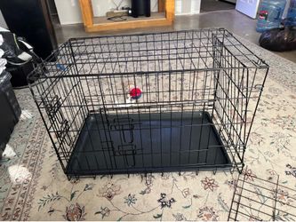 Kennel
