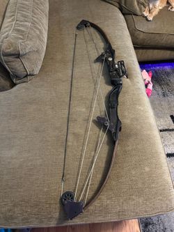 bear whitetail compound bow