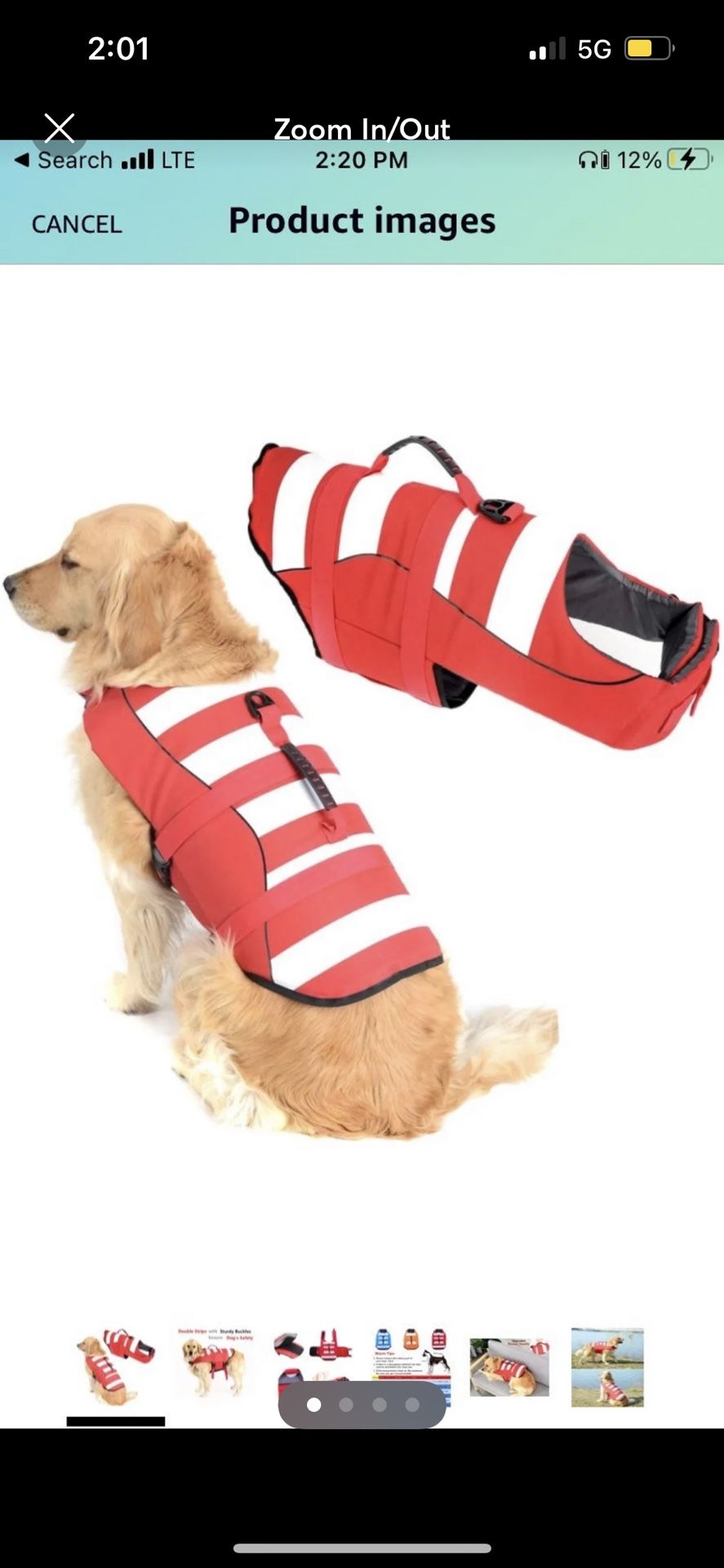 Medium Dog Life Jacket 