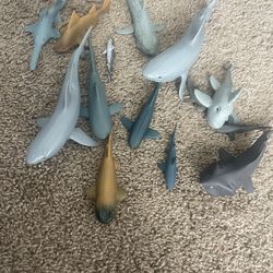 Toy Sharks