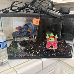 Fish Tank 