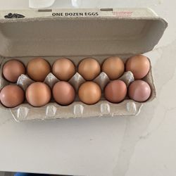 Eggs