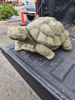 Large Concrete Turtle