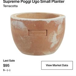 Supreme X Poggi Ugo Small Planter for Sale in Altamonte Springs, FL -  OfferUp