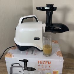 Juicer Machines Slow Masticating Juicer Cold Press Juicer for Fruits & Vegetable