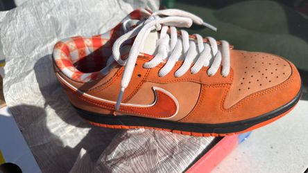 50 size 11 sb dunk