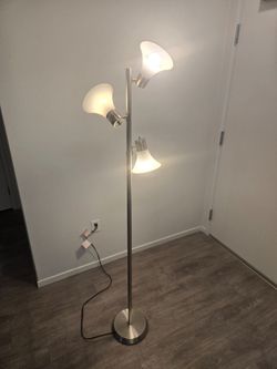 Brushed Nickel Floor Lamp