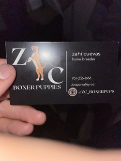 Business Cards🐶